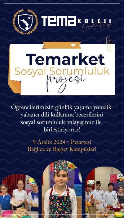 Temarket-03-12-2024-01